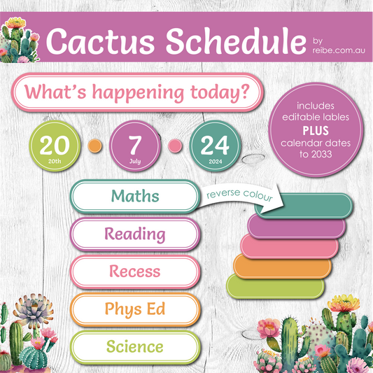 Cactus Daily Schedule Board